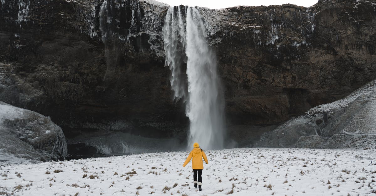 Why is my Aji Gallina not yellow? - Person in Red Jacket Standing on White Snow Covered Ground Near Waterfalls