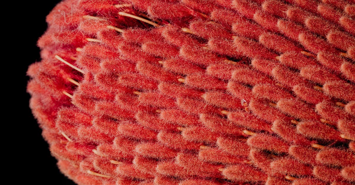 Why is salt sprinkled on top of soft pretzels? - From above of top part of exotic tropical banksia flower with unusual narrow fluffy red petals