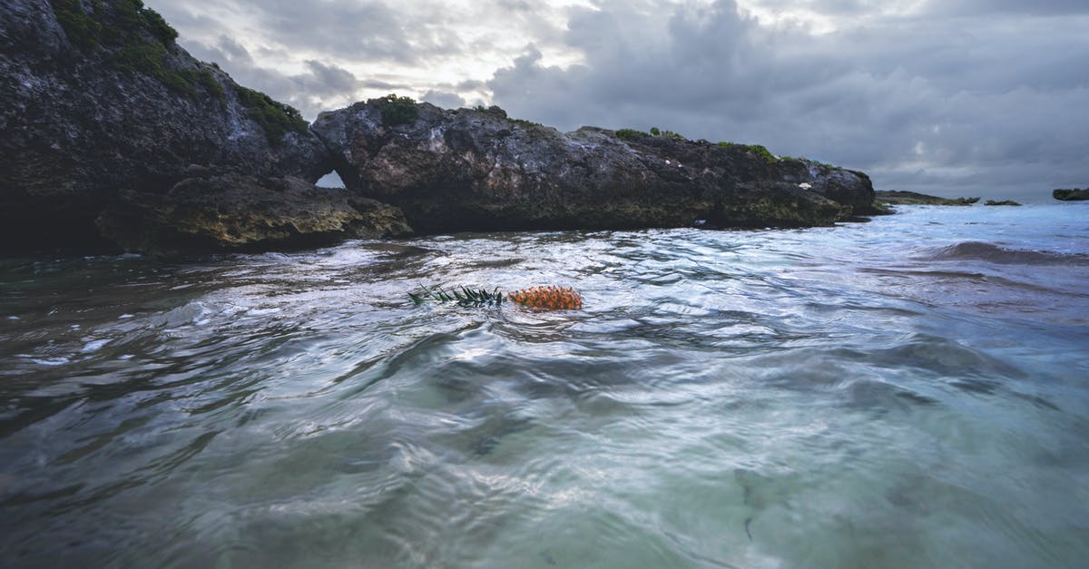 why might the pineapple on the bottom of the pineapple-upside-down-cake float into the batter? - Rocky Cliff Near Calm Sea Under Gray Cloudy Sky why might the pineapple on the bottom of the pineapple-upside-down-cake float into the batter? - Rocky Cliff Near Calm Sea Under Gray Cloudy Sky