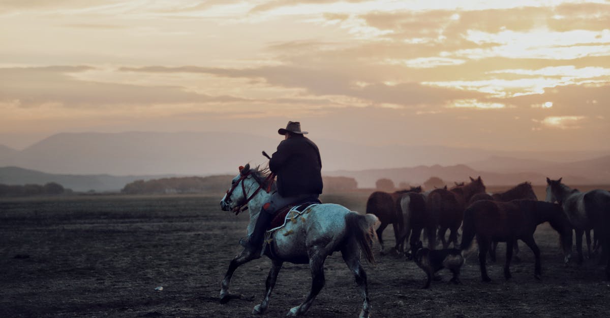 Why stud an onion? - Cowboy in hat riding horse while grazing herd of equines in vast valley under cloudy sunset sky in countryside