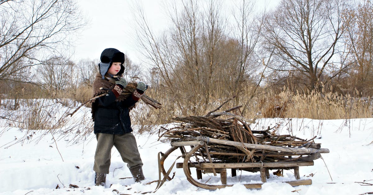 Why wooden sticks for ice cream bars? - Kid Holding Brown Log