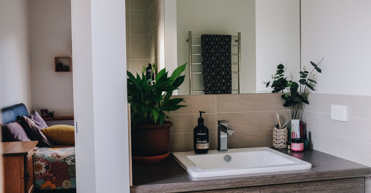 Why you shouldn't use soap to clean a pizza stone? or some pans and pots? - Interior of modern bathroom with mirror above white sink and wooden cabinet decorated with potted plants in apartment
