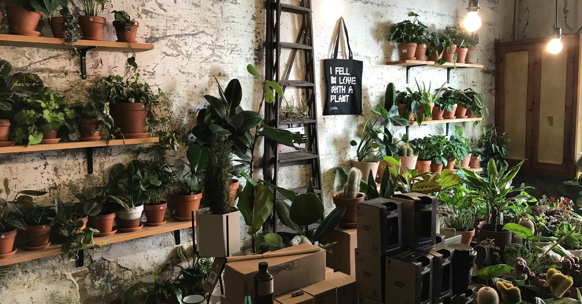 Will an airtight container negatively affect yeast growth / dough expansion? - Green Potted Plants on Brown Wooden Shelf