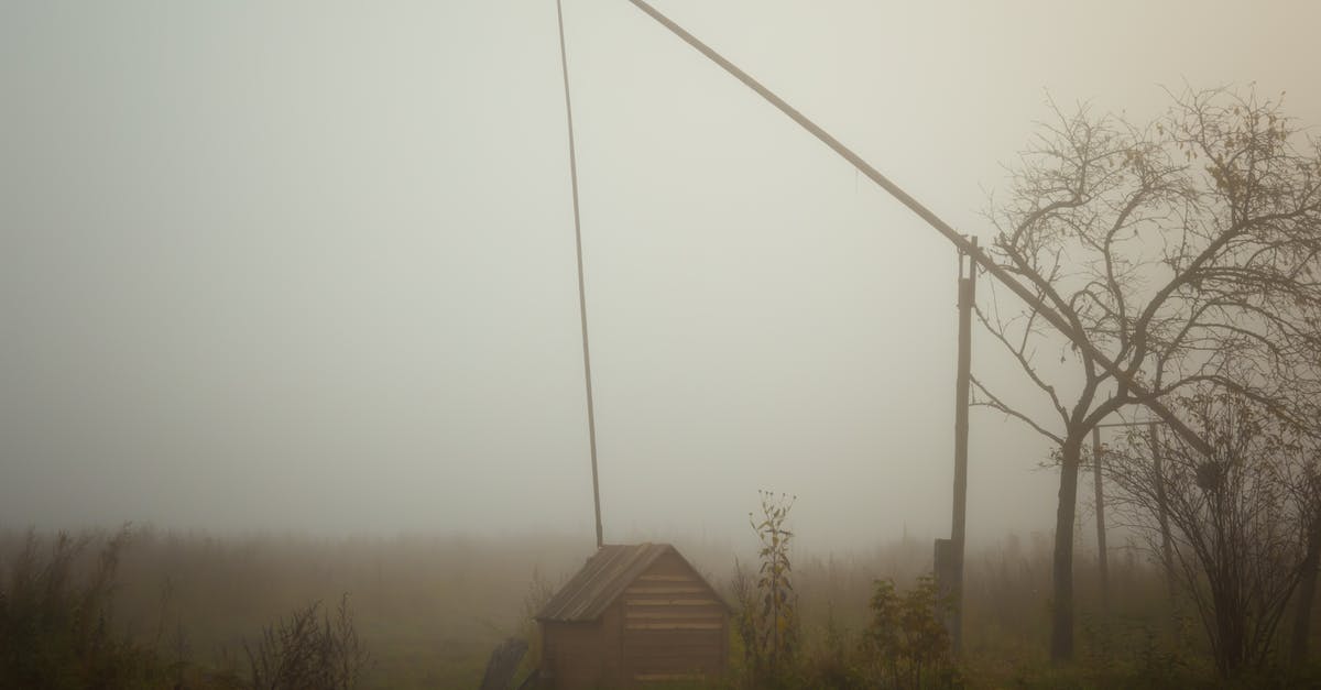 Will soymilk keep well in the freezer? - Brown Wooden House Near Bare Trees Under White Sky