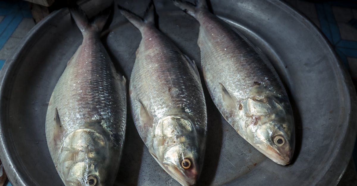 Will unsealed fish in the freezer contaminate packaged food? - Silver and Red Fish on Black Round Plate