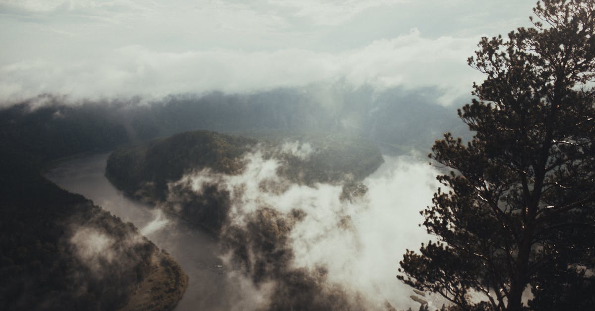 Wood pellets in a smoke box: - Green Trees on Mountain Under White Clouds