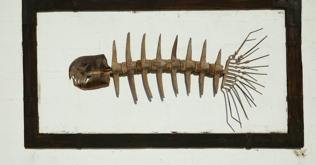 Would putting a dead animal in the freezer contaminate other food? - Handmade skeleton of predatory fish with sharp teeth in black frame hanging on wall