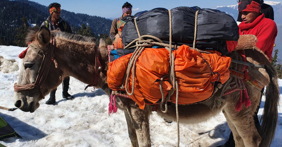 Ziploc vacuumed bags expand in sous vide - Horse Carrying Bags in Mountains